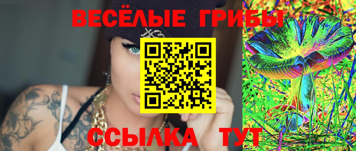 Добрянка  Псилоцибиновые грибы MAGIC MUSHROOMS  Вход с VPN 