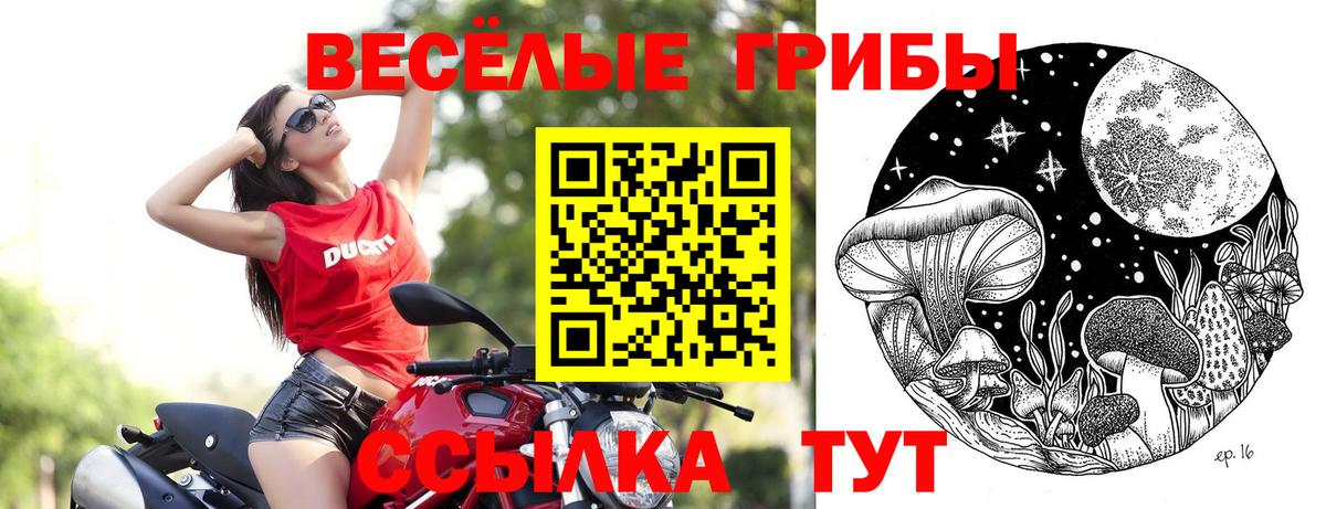 Псилоцибиновые грибы мухоморы Добрянка
